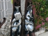 Museum, gallery and sculpture garden