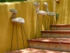 Coral stone animals