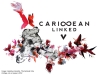 1. Caribbean Linked V Flyer