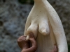 Sling