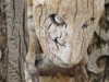 Detail of the ceremonial board