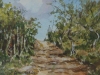 Dirt road