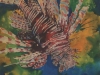 Lionfish