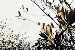 Image-1-30-26-at-11.17-AM