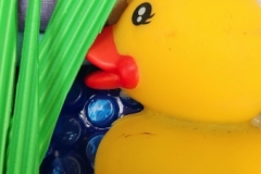 Rubber Duck Project