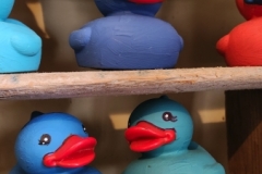 Rubber Duck Project