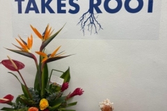 Where art takes root