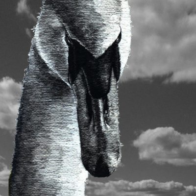 Instituto Buena Bista