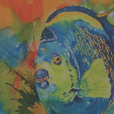 Curaçao Art, Tanya Haynes