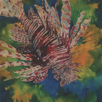 Tanya Haynes - Curacao Art
